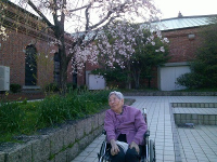 Ԍ