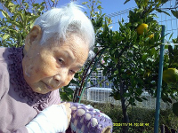 11���̃z�[���̗l�q