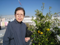 11���̃z�[���̗l�q