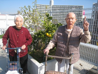 11���̃z�[���̗l�q