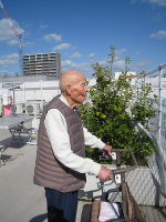 11���̃z�[���̗l�q