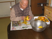 11���̃z�[���̗l�q