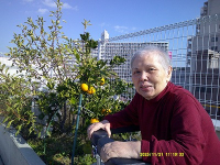 11���̃z�[���̗l�q