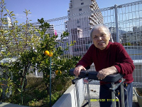 11���̃z�[���̗l�q