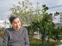 11���̃z�[���̗l�q