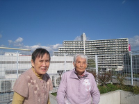 11���̃z�[���̗l�q