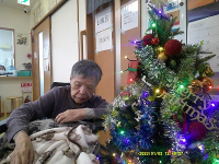 12���̃z�[���̗l�q