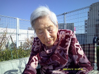 1���̃z�[���̗l�q