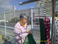 1���̃z�[���̗l�q