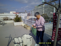 1���̃z�[���̗l�q