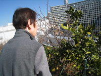 1���̃z�[���̗l�q