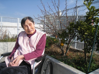 1���̃z�[���̗l�q