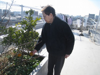 2���̃z�[���̗l�q