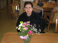 2���̃z�[���̗l�q